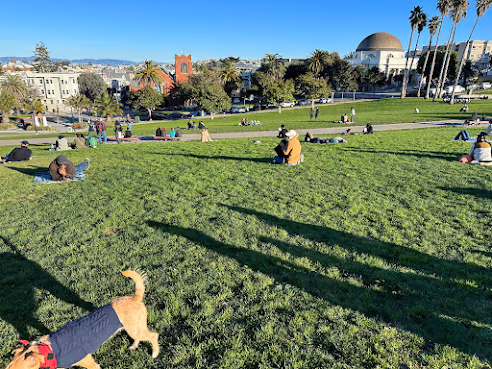Mission Dolores Park Dog Park